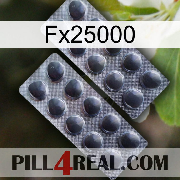 Fx25000 31